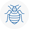 Bed Bug Extermination In Herne Hill