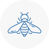Bee Nest Removal Herne Hill