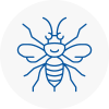 Herne Hill Hornet Nest Removals