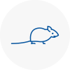 Mice Exterminators In Herne Hill