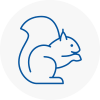 Herne Hill Rodent Removals